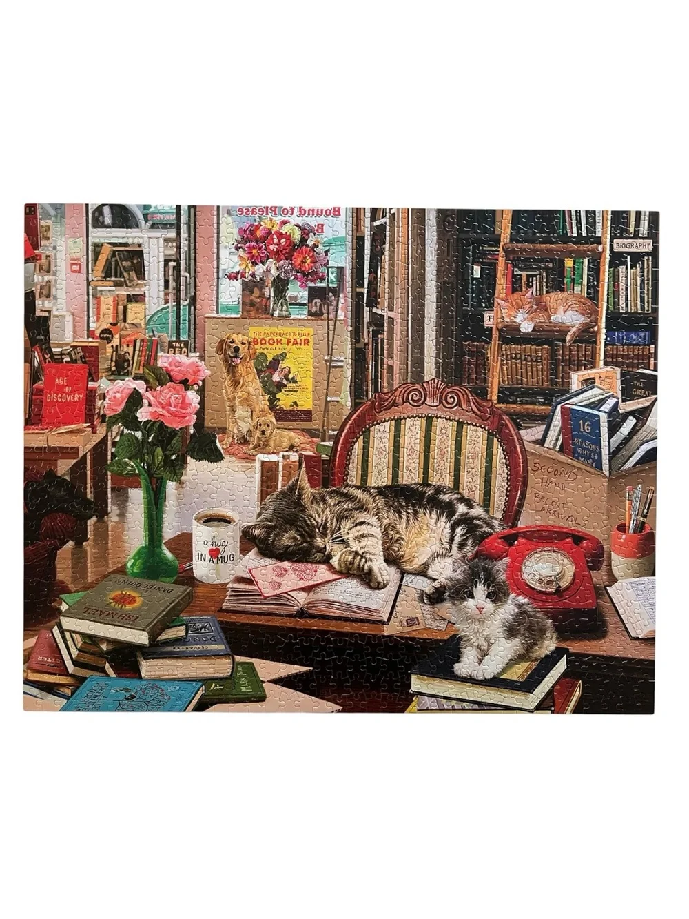 White Mountain Puzzle - Cute Cats - Multi-Color “Cozy Bookshop” - 1000pc